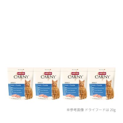 アニミューン 14g✖２ 犬・猫用 療法食　本日到着 Zoot 300粒 徳用パック ペット用 乳酸菌サプリメント 日本製